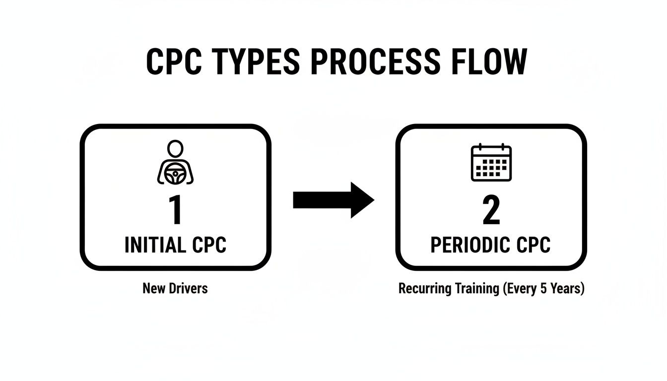 CPC types process flow showing Initial CPC for new drivers and Periodic CPC for recurring training.