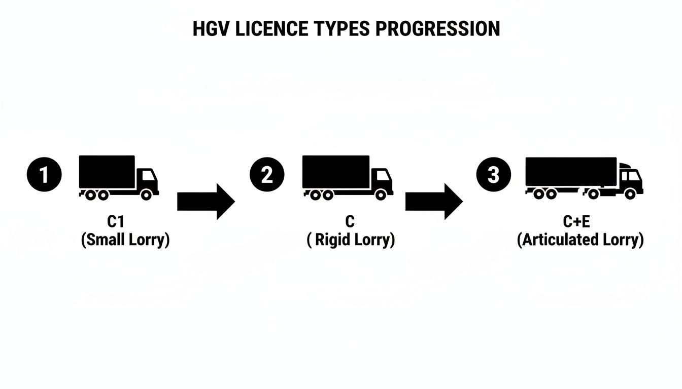 Progression of HGV licence types, illustrating small, rigid, and articulated lorries from C1 to C+E.