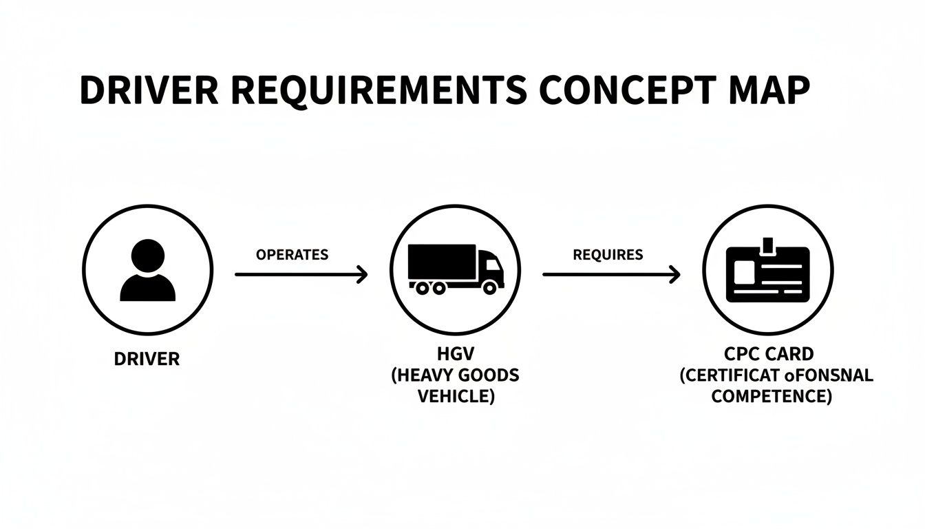 A concept map showing driver requirements: a driver operates a heavy goods vehicle (HGV) which requires a CPC card.